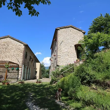 Casa Verde * Cantiano