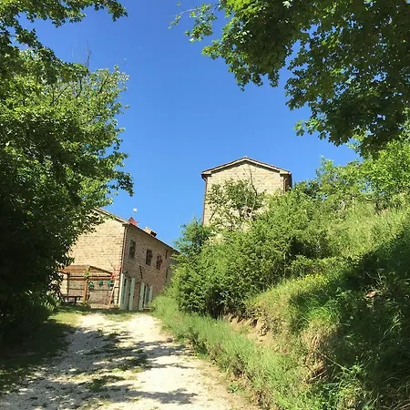 Casa Verde Cantiano