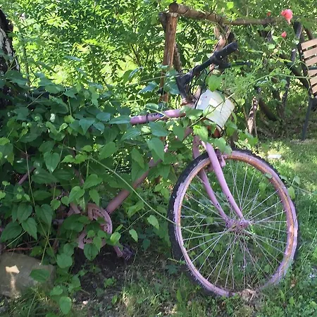 Hébergement de vacances Casa Verde